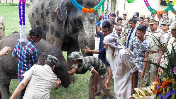 सावन ने खाया 140 किलो का केक 