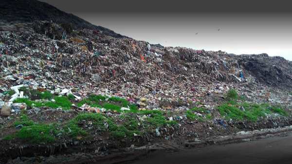 पीएमसीए और आईआईटी गांधीनगर से मांगी गई है जानकारी पीएमसीए और आईआईटी गांधीनगर से मांगी गई है जानकारी