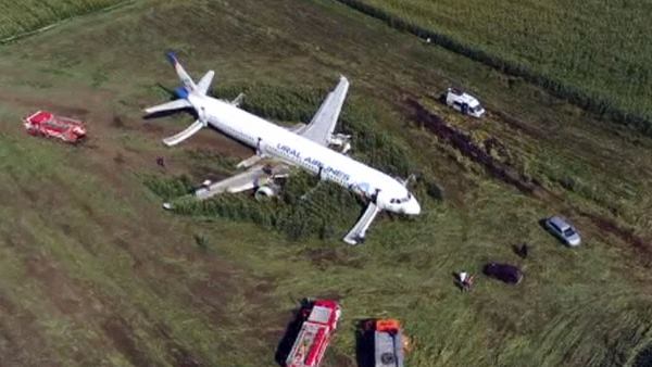 इंजन में फंसे कई पक्षी इंजन में फंसे कई पक्षी