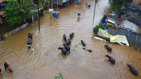 यहां भी हो सकती है भारी बारिश