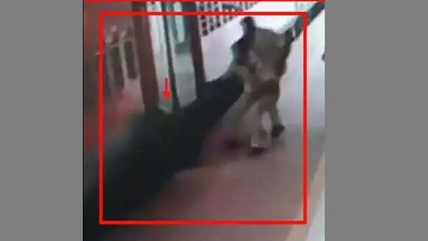 रेल मंत्रालय ने किया ट्वीट