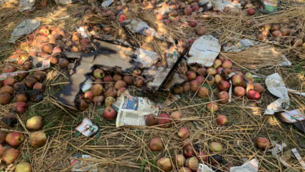 लाखों रुपये के 'गोल्डन एप्पल' राख में तब्दील