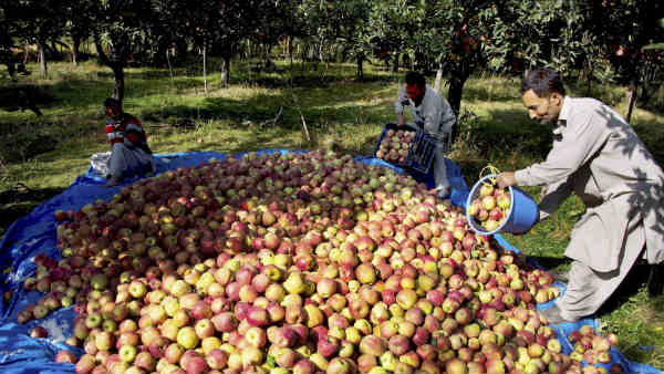 पूरी जिंदगी की मेहनत पर आग लगा दी