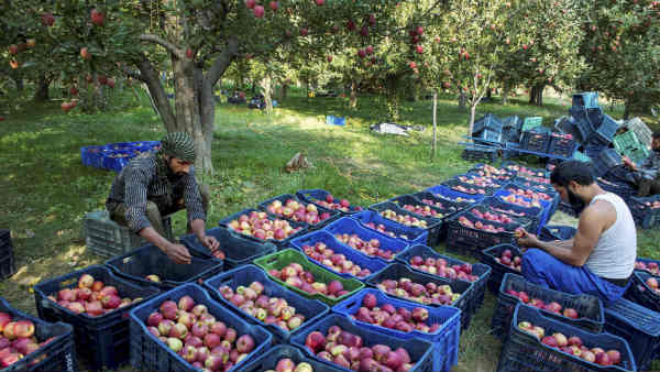 वे हमें मार डालेंगे- शोपियां के लोग