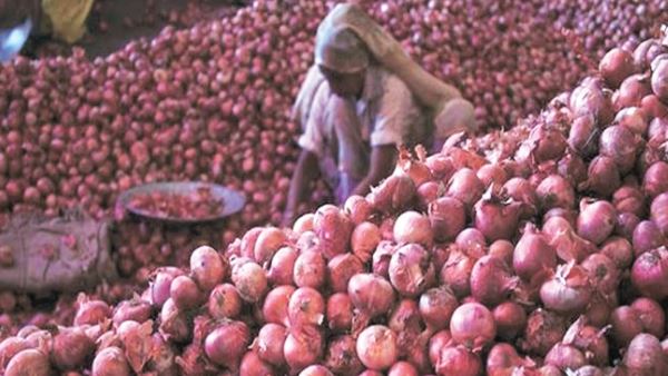 प्याज के निर्यात पर रोक 