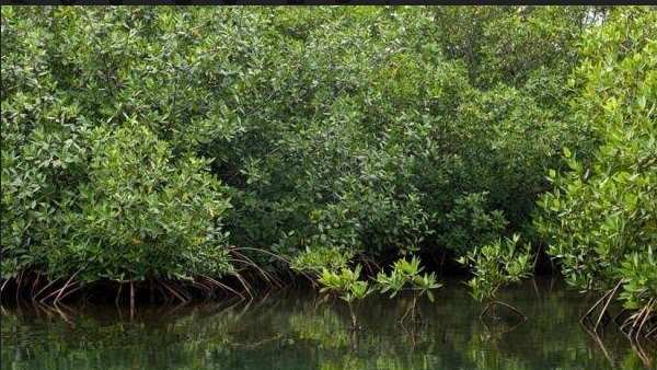 गुजरात के 8 जिलों में हो रहा भू—अधिग्रहण 