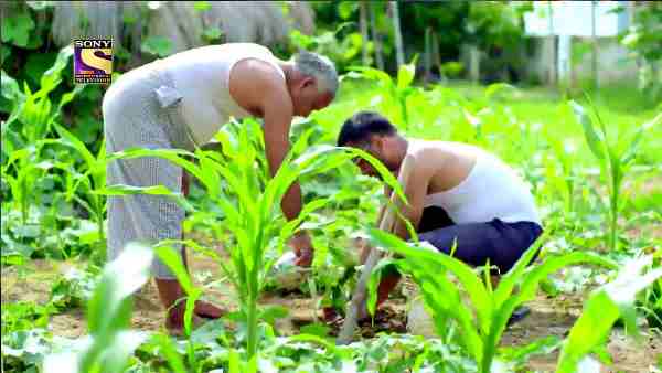 IAS बनना चाहते हैं सनोज राज