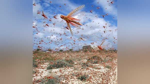 80,000 वर्ग मील के क्षेत्र को कवर करती हैं