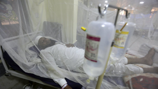 सिंध में 1200 लोग डेंगू की चपेट में