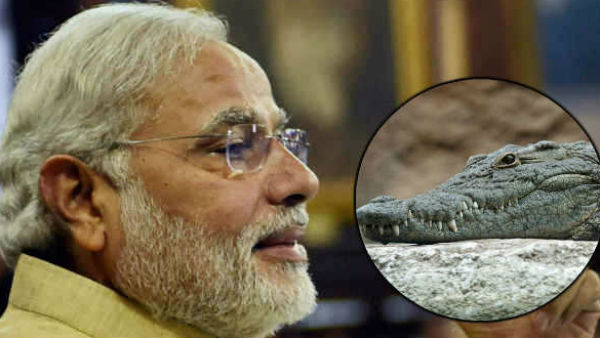 जब छोटे नरेंद्र ने पकड़ लिया था मगरमच्छ का बच्चा...