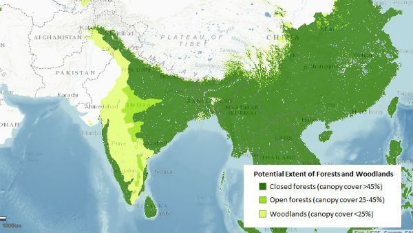 कुछ इस तरह से भरा जायेगा हरा रंग 