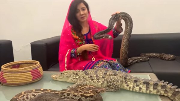 कौन हैं राबी पीरजादा 