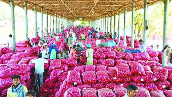 Onion retail prices crossed Rs 50 in Sikar Rajasthan Onion retail prices crossed Rs 50 in Sikar Rajasthan