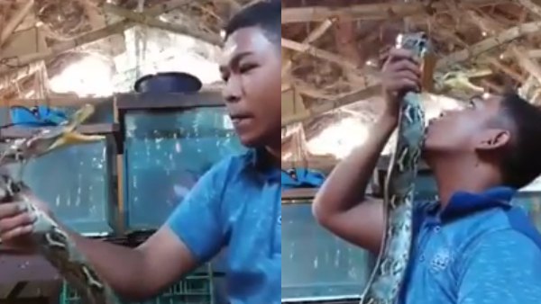 सांप के साथ लोगों ने जताई हमदर्दी 