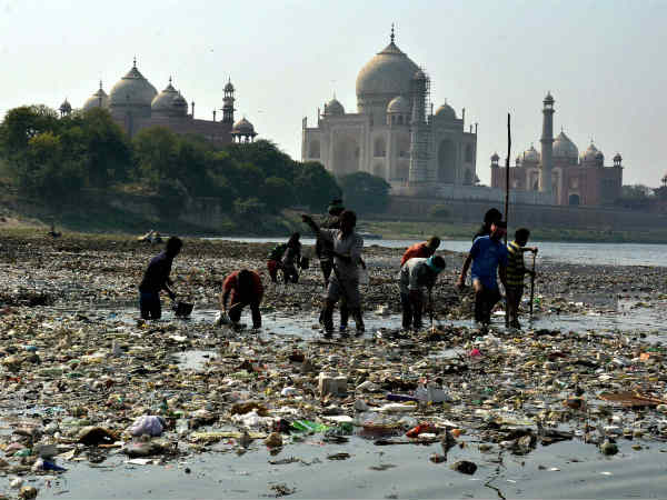 taj