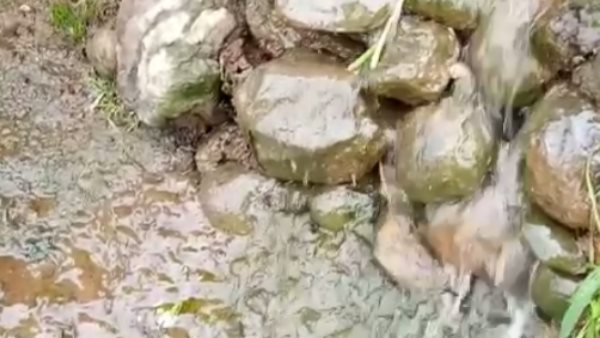 तीनों बेटों ने गांव छोड़ा