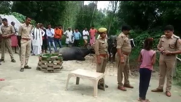 woman killed her husband for her illegal relationship