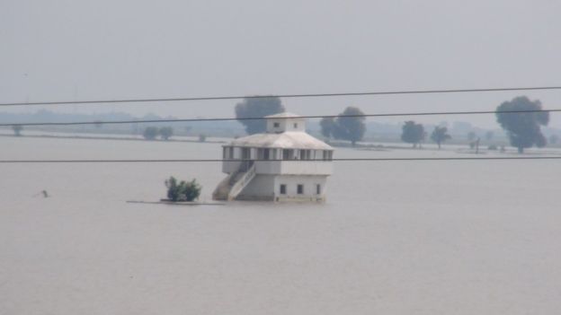 SAMIRATMAJ MISHRA/BBC