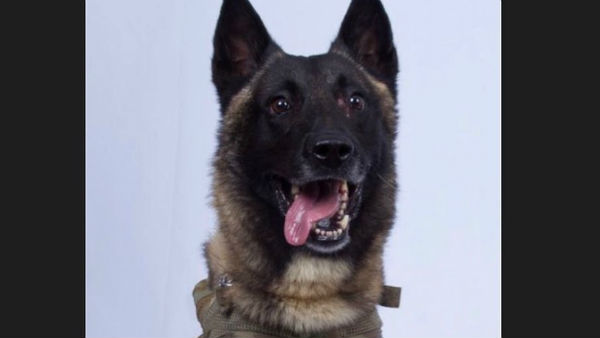  एंटी-नक्‍सल ऑपरेशन में होता है प्रयोग 