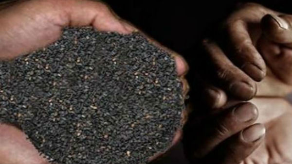 कैसे करें कार्तिक स्नान