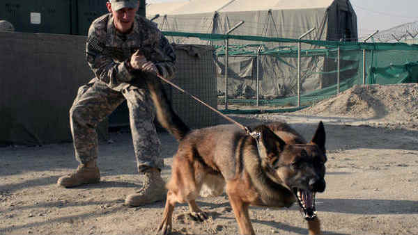 पठानकोट में ढेर किया था एक आतंकी 