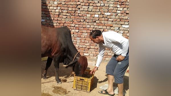 दूसरे दिन चला पता कि सोना सब्जियों में फिंक गया था