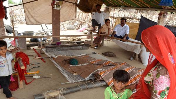 नारी शक्ति समेत कई अवार्ड मिले इल्से को