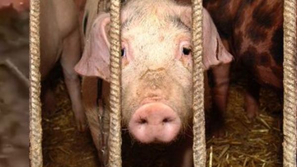 30 फीसदी से अधिक मुनाफा