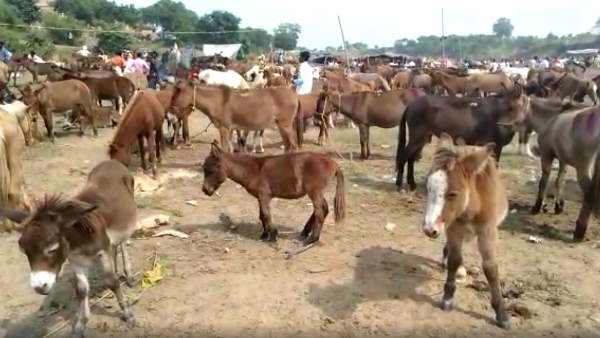 मुगल शासक ने शुरू करवाया था मेला