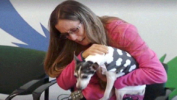 माइक्रोचिप मिली मालकिन