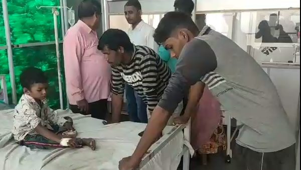 bees attack on dussehra jhanki at rajasthan, 60 people injured