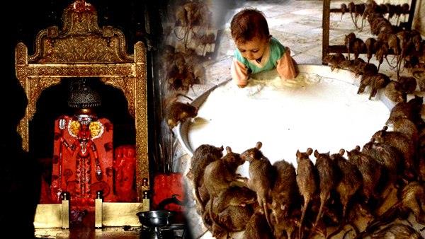 यहां माता ने की थी अपने इष्ट की पूजा यहां माता ने की थी अपने इष्ट की पूजा