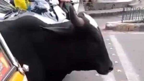  प्रीति जिंटा ने कही ये बात