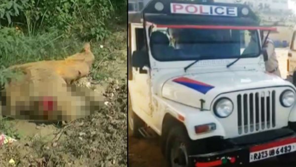 फिर बनाई हत्या की योजना