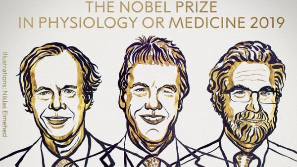 चिकित्सा क्षेत्र