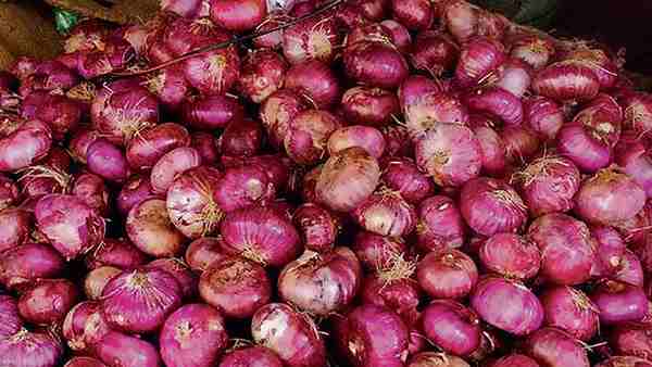 पूरा गांव शाकाहारी 