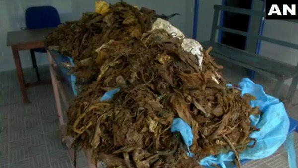 करीब दो साल में गाय के पेट में जमा हुआ होगा इतना प्‍लास्‍टिक