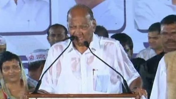 शरद पवार ने मानी गलती 