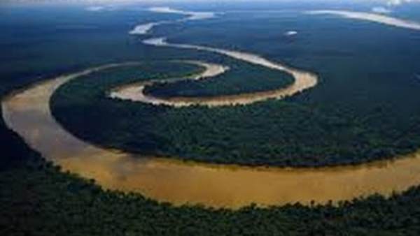 वजन 550 किलोग्राम