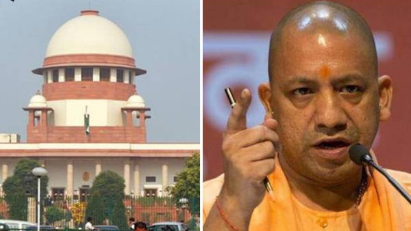 सरकार के वकील ने क्या कहा? सरकार के वकील ने क्या कहा?