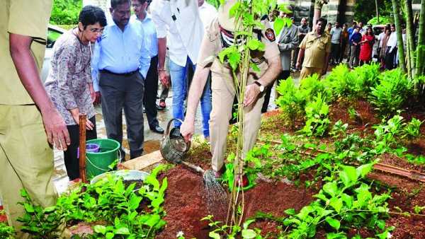 अहमदाबाद में कटे पेड़ों की जगह कितने पेड़ लगे, नहीं बताया