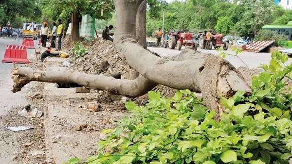 अवैध कालोनियां ऐसे प्रोजेक्ट की भेंट नहीं चढ़तीं?
