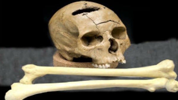 29 लोगों को किया गिरफ्तार