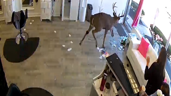 किसी को नहीं पहुंचाया नुकसान