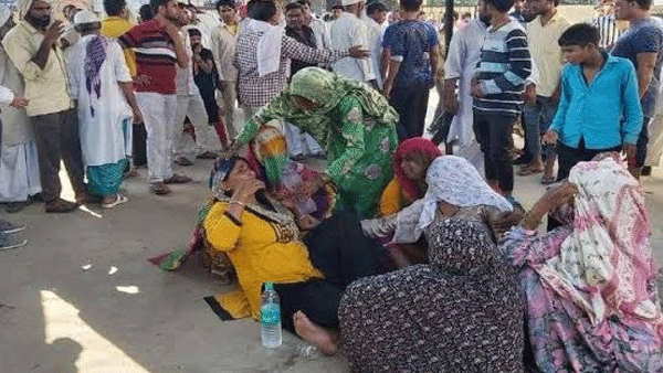 rajasthan alwar borther did murder of his brother 