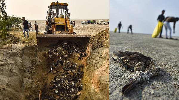 भोपाल से आएगी विस्तृत रिपोर्ट