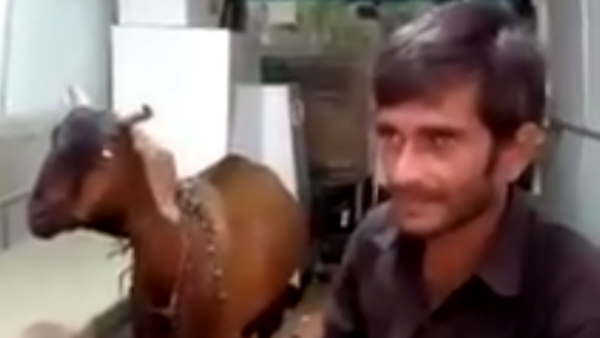 वीडियो हो रहा है वायरल