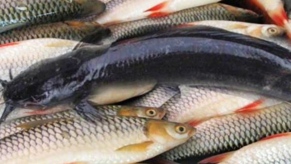 पिता को बचाने के दौरान बेटी भी घायल