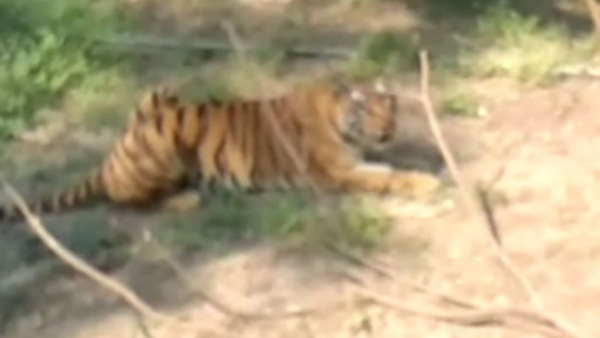 इससे पहले भी हो चुकी है घटना