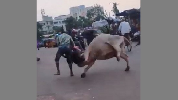 वीडियो हो रहा वायरल